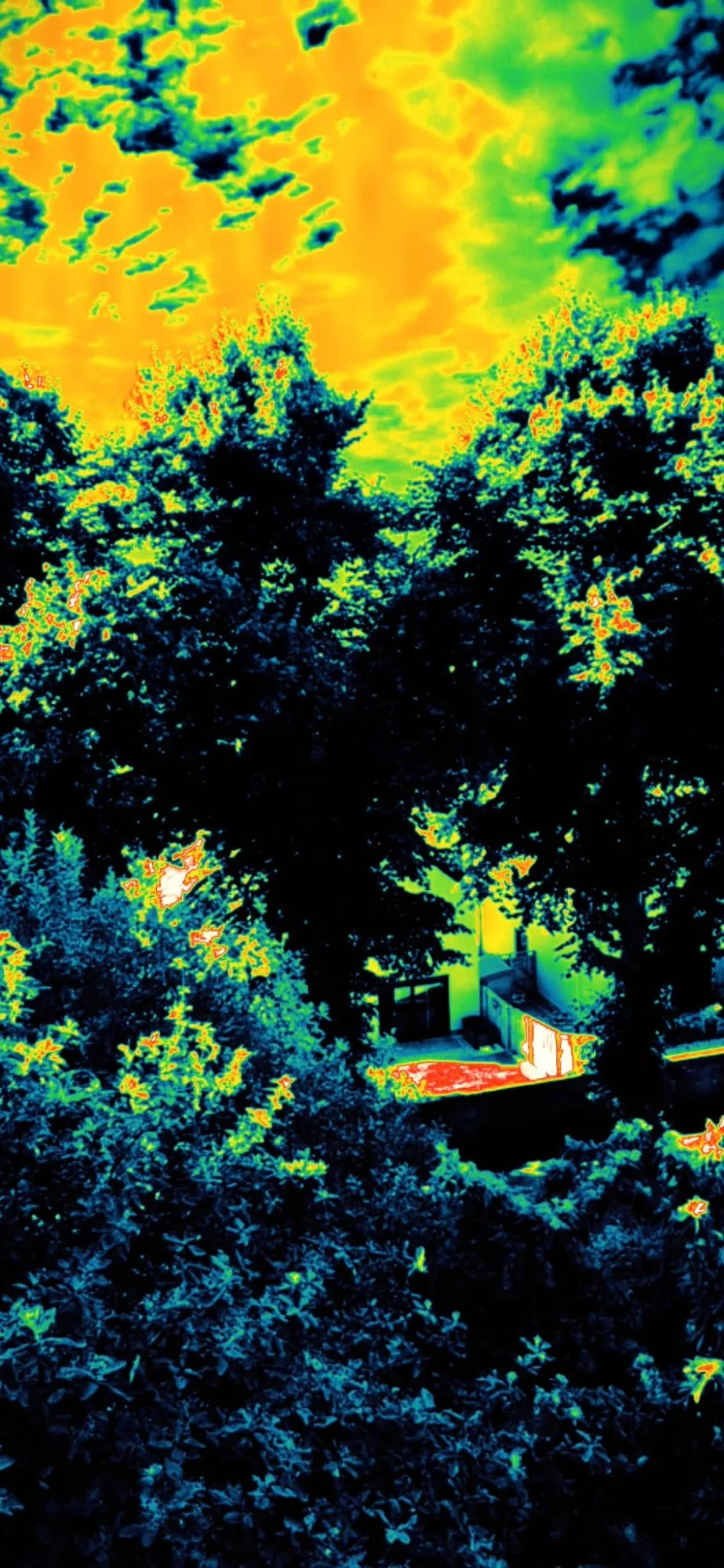 Garden scene through the Snake filter: warm areas glow orange-white against near-invisible teal-dark cold foliage