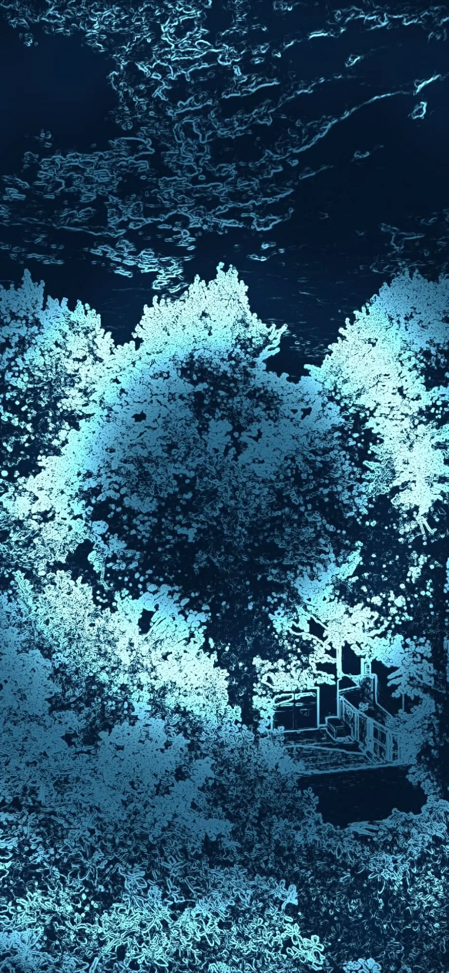 Garden scene through the Dolphin filter: cyan edge-wireframe outlines of trees and a house against deep navy