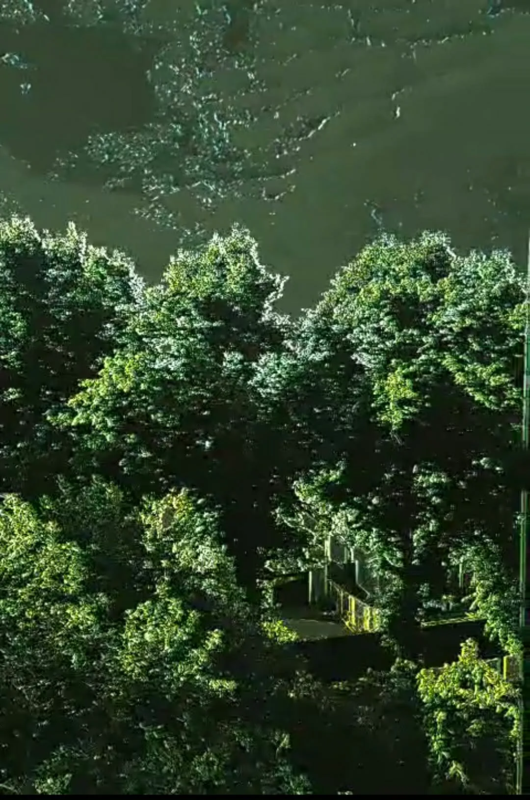 Garden scene through the Frog filter: a heavily muted green-grey world where brighter regions pick out light and movement