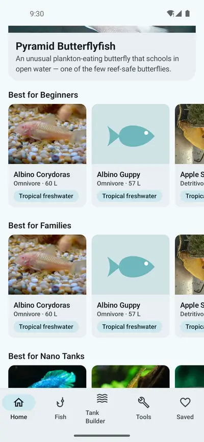 Home screen collections for best for beginners, families and nano tanks, with cards for Albino Corydoras, Albino Guppy and Apple Snail