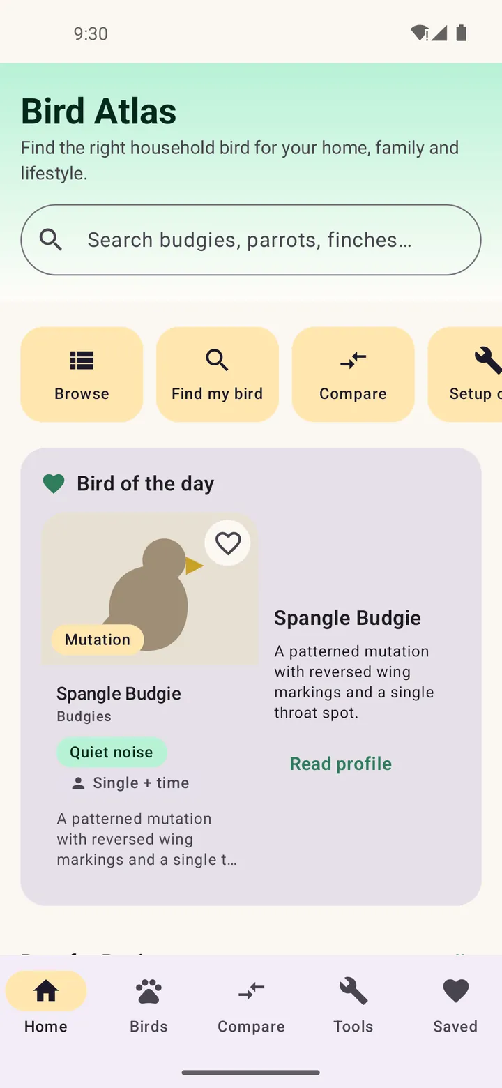 Bird Atlas home screen with search, quick actions for browse, find my bird, compare and setup cost, and a Bird of the Day card for a Spangle Budgie marked quiet