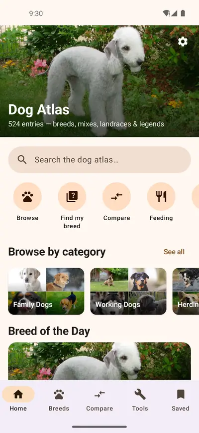 Dog Atlas: Dog Atlas home screen with a photo of a Bedlington Terrier, 524 entries, a search bar, quick actions for browse, find my breed, compare and feeding, and category tiles